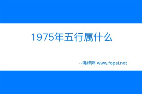 1975五行